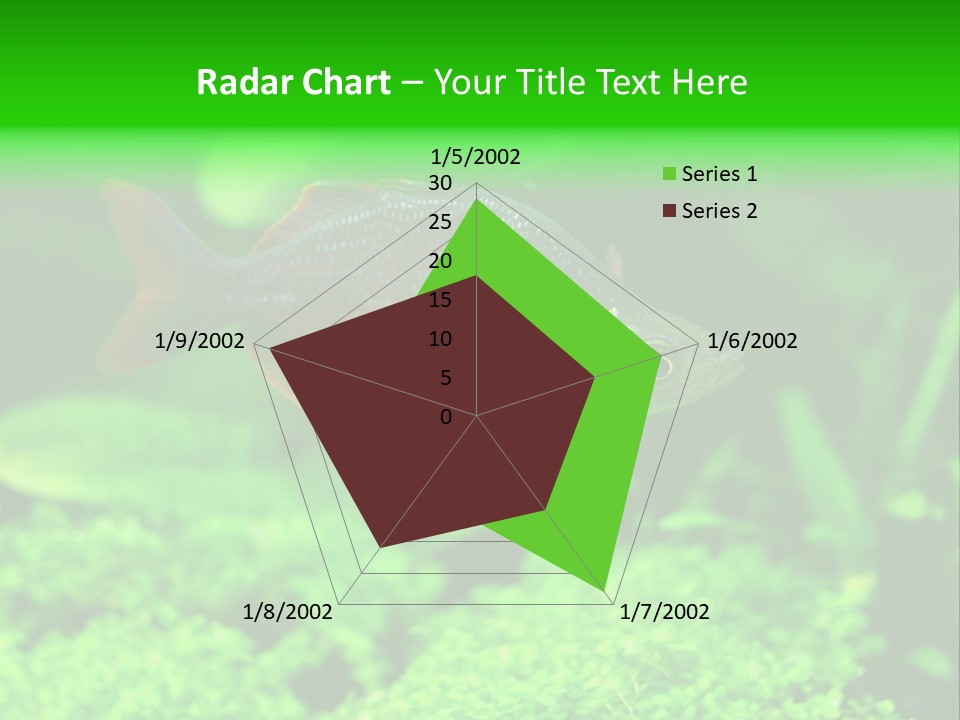 Tropical Fish Glossolepis Incisus Freshwater Aquarium PowerPoint Template