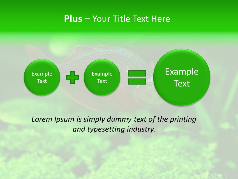 Tropical Fish Glossolepis Incisus Freshwater Aquarium PowerPoint Template