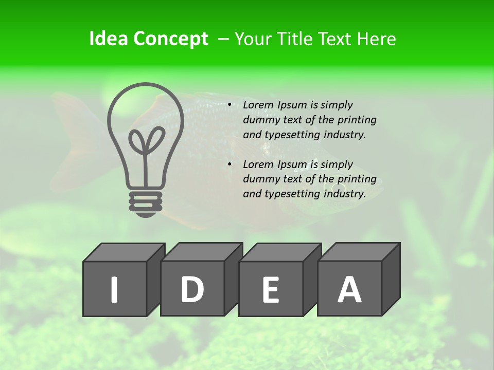 Tropical Fish Glossolepis Incisus Freshwater Aquarium PowerPoint Template