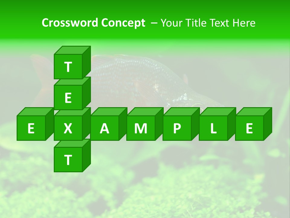 Tropical Fish Glossolepis Incisus Freshwater Aquarium PowerPoint Template