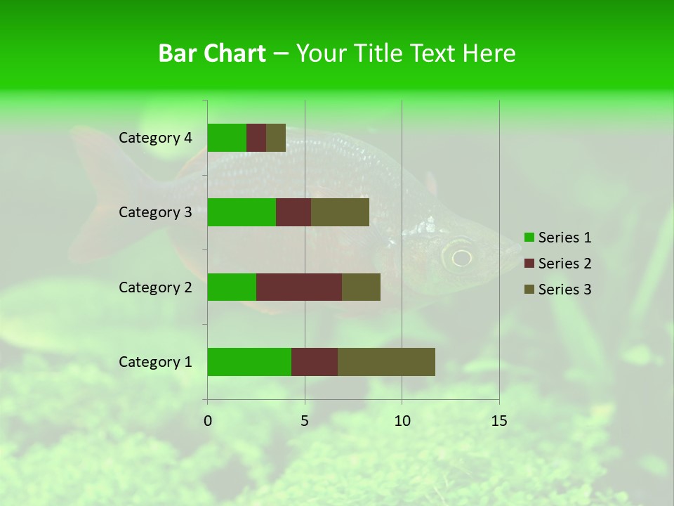 Tropical Fish Glossolepis Incisus Freshwater Aquarium PowerPoint Template