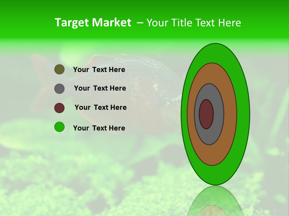 Tropical Fish Glossolepis Incisus Freshwater Aquarium PowerPoint Template