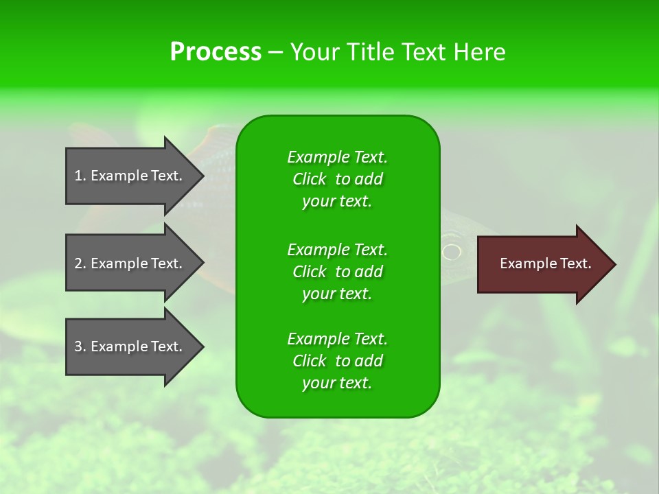 Tropical Fish Glossolepis Incisus Freshwater Aquarium PowerPoint Template