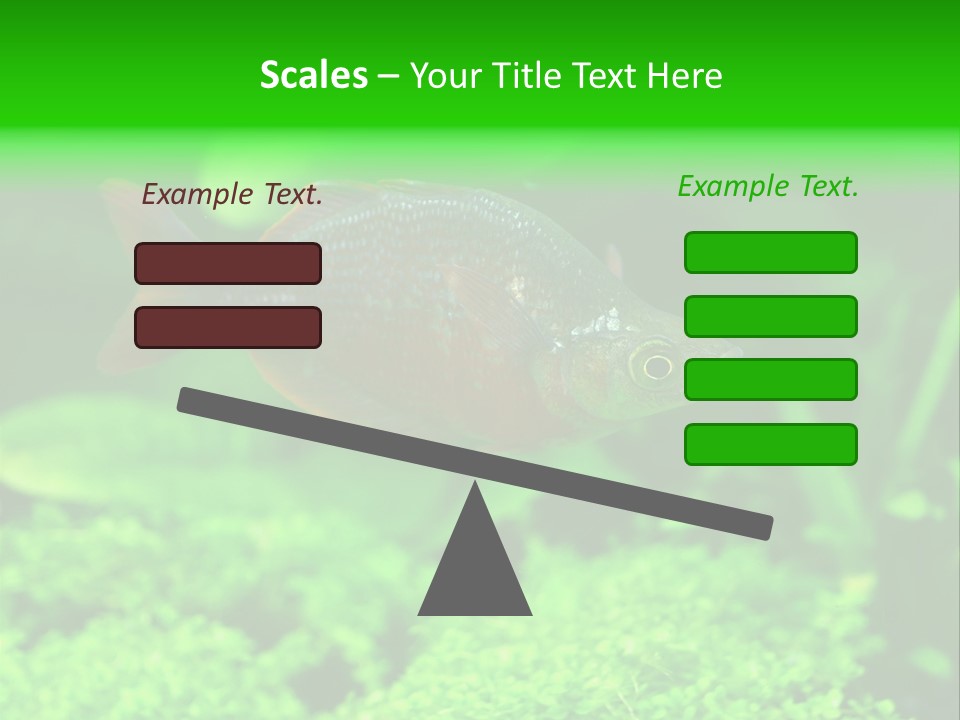 Tropical Fish Glossolepis Incisus Freshwater Aquarium PowerPoint Template