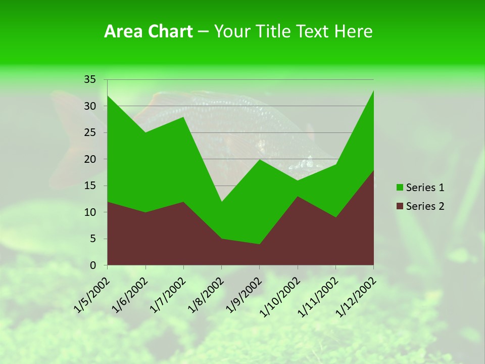 Tropical Fish Glossolepis Incisus Freshwater Aquarium PowerPoint Template
