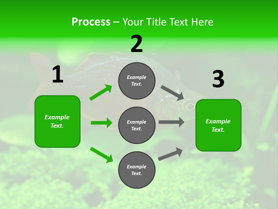 Tropical Fish Glossolepis Incisus Freshwater Aquarium PowerPoint Template