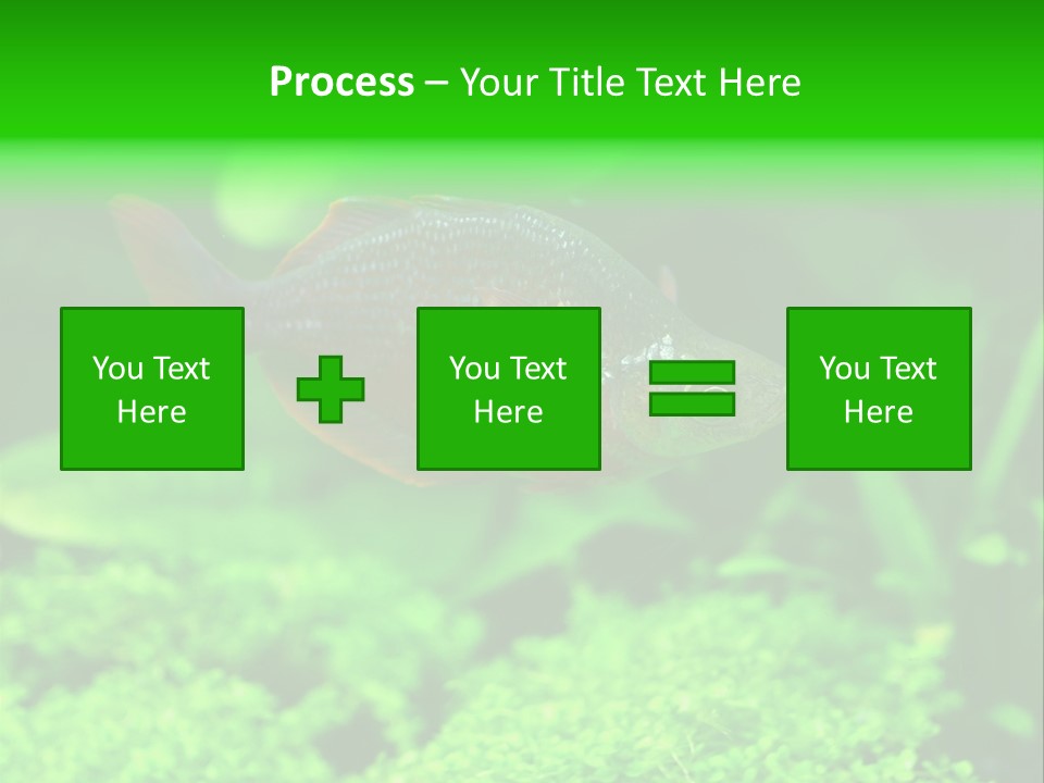 Tropical Fish Glossolepis Incisus Freshwater Aquarium PowerPoint Template