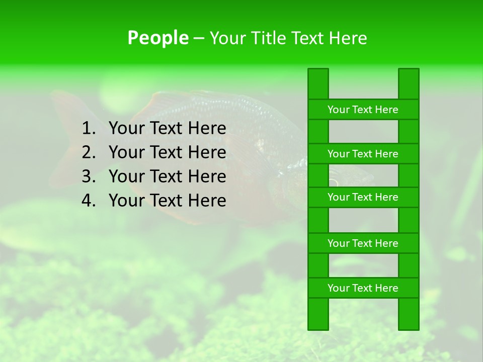 Tropical Fish Glossolepis Incisus Freshwater Aquarium PowerPoint Template