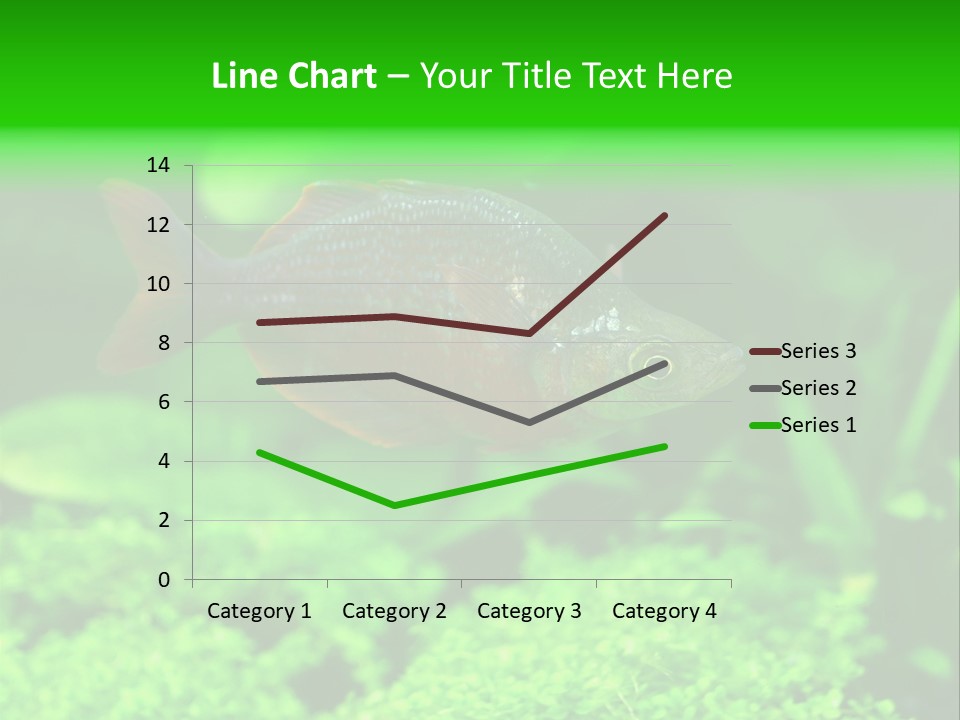 Tropical Fish Glossolepis Incisus Freshwater Aquarium PowerPoint Template