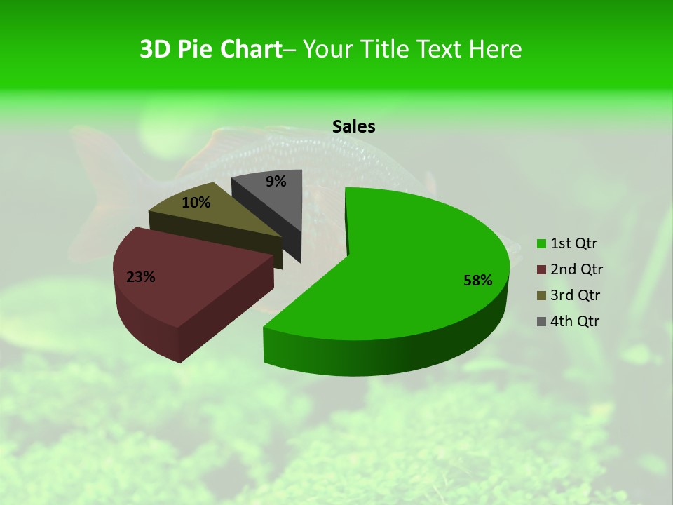 Tropical Fish Glossolepis Incisus Freshwater Aquarium PowerPoint Template