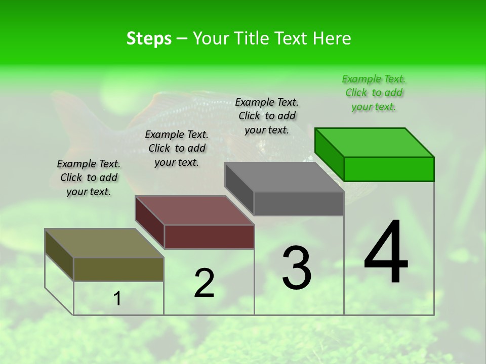 Tropical Fish Glossolepis Incisus Freshwater Aquarium PowerPoint Template