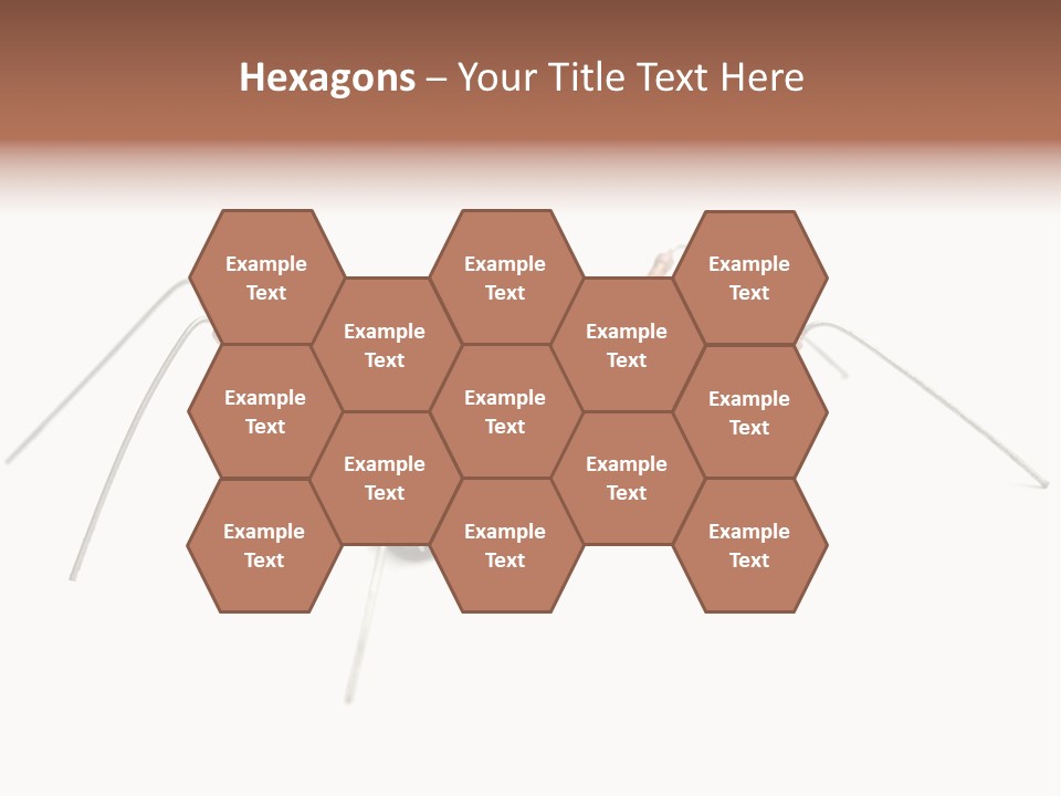Electronics Fraud System PowerPoint Template
