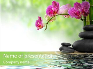Lucky Background Boulder PowerPoint Template