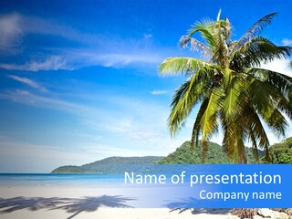 Paradise Coast Sun PowerPoint Template