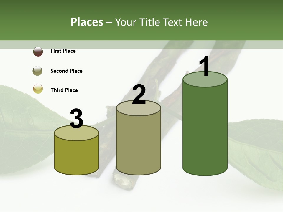 Cultural Health Scent PowerPoint Template