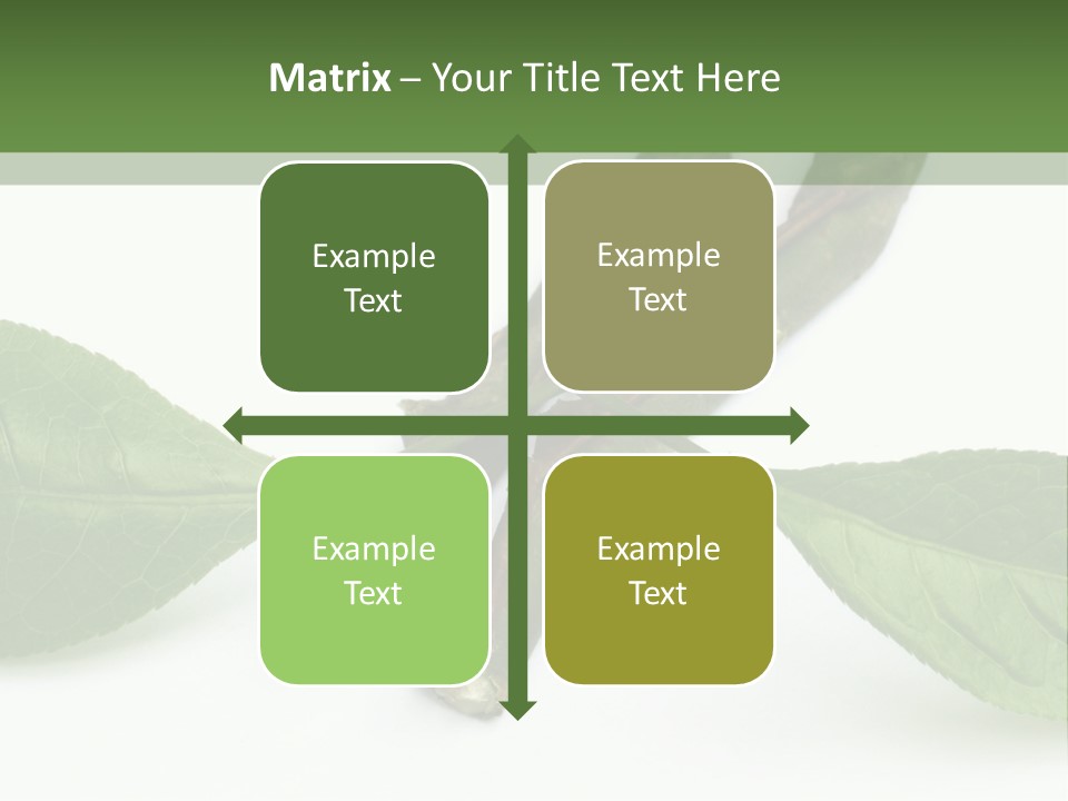 Cultural Health Scent PowerPoint Template