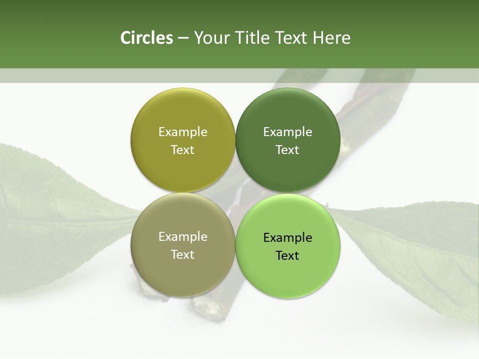 Cultural Health Scent PowerPoint Template