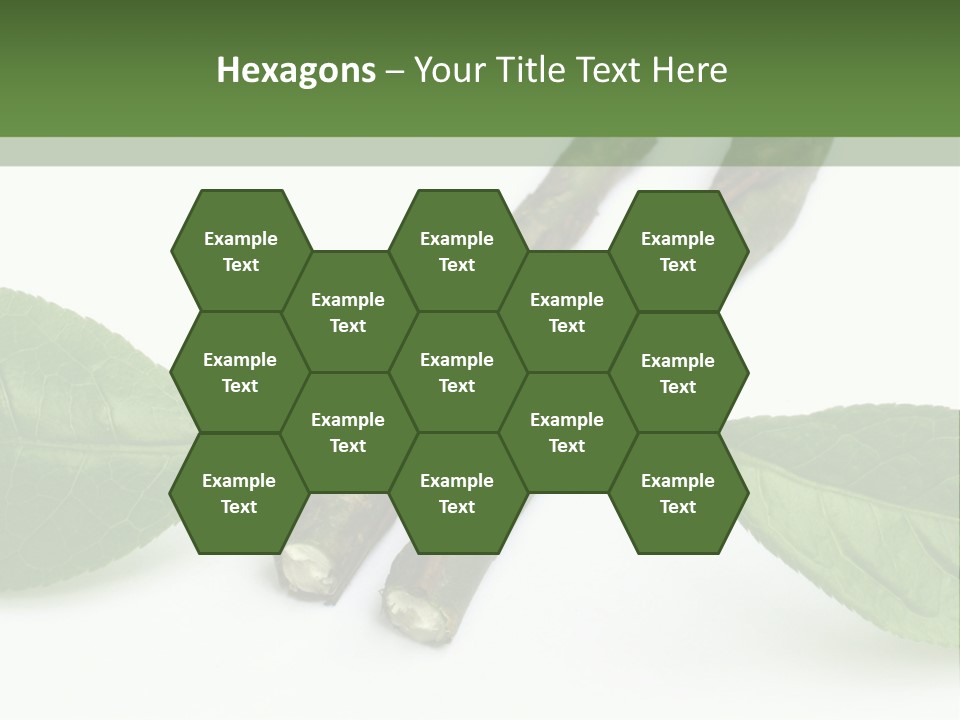 Cultural Health Scent PowerPoint Template