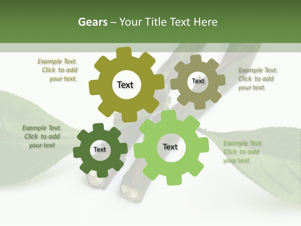 Cultural Health Scent PowerPoint Template