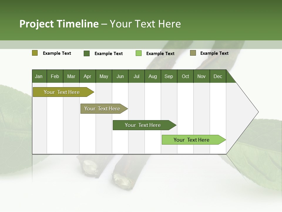 Cultural Health Scent PowerPoint Template