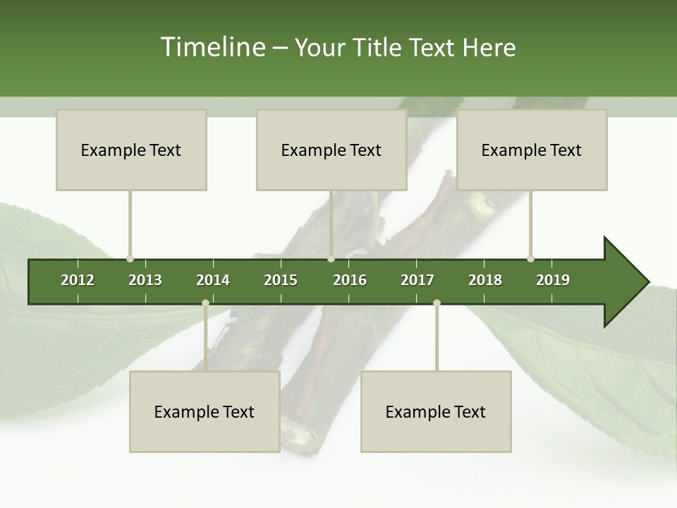 Cultural Health Scent PowerPoint Template