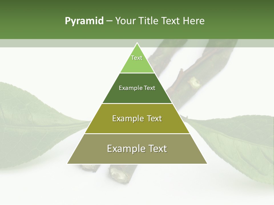 Cultural Health Scent PowerPoint Template