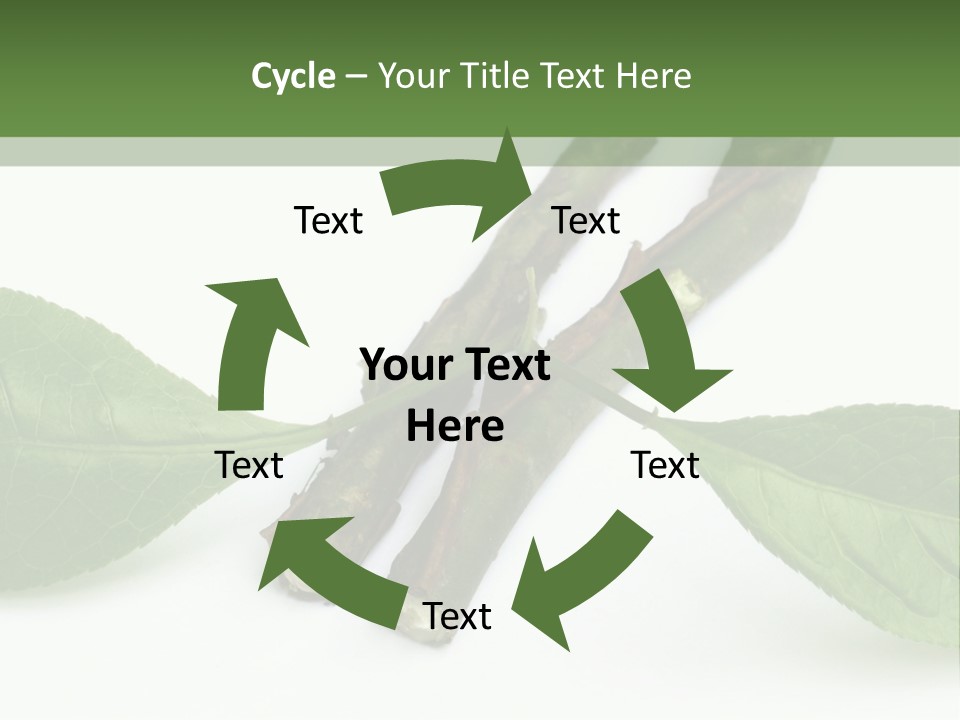 Cultural Health Scent PowerPoint Template