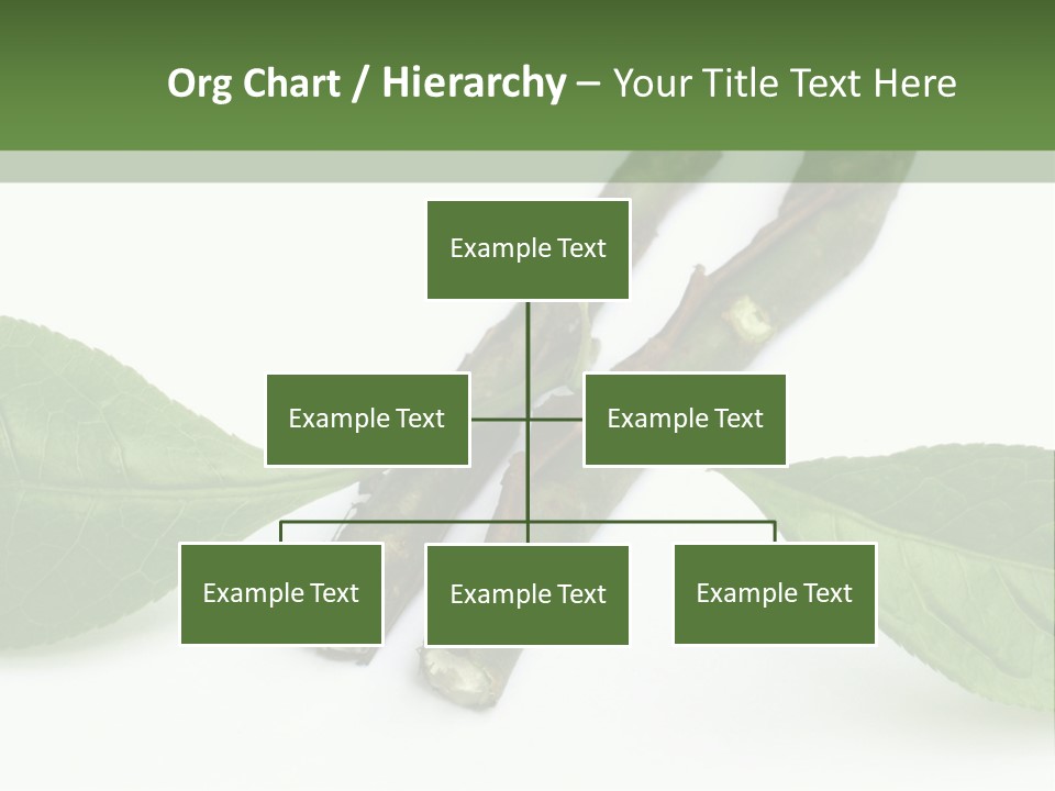 Cultural Health Scent PowerPoint Template