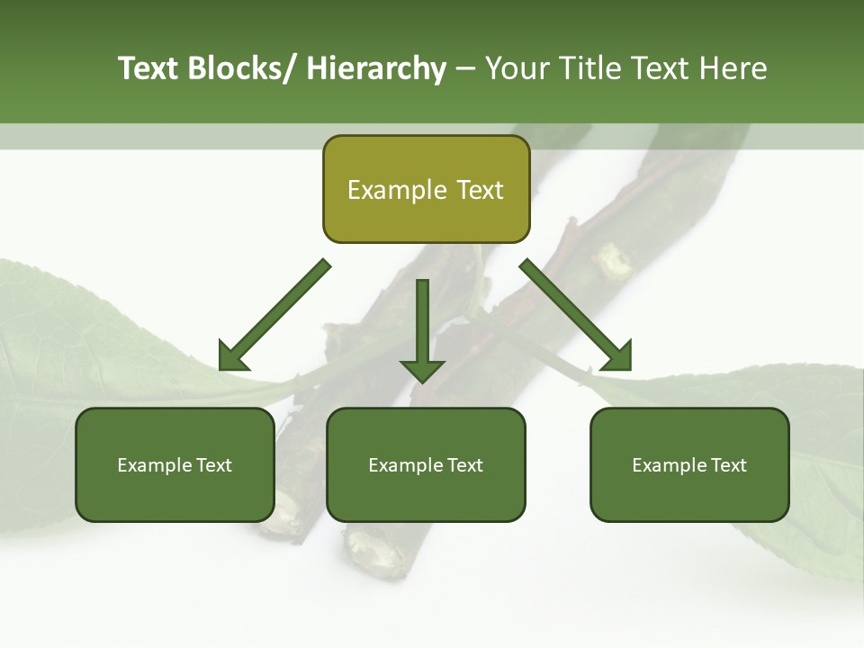 Cultural Health Scent PowerPoint Template