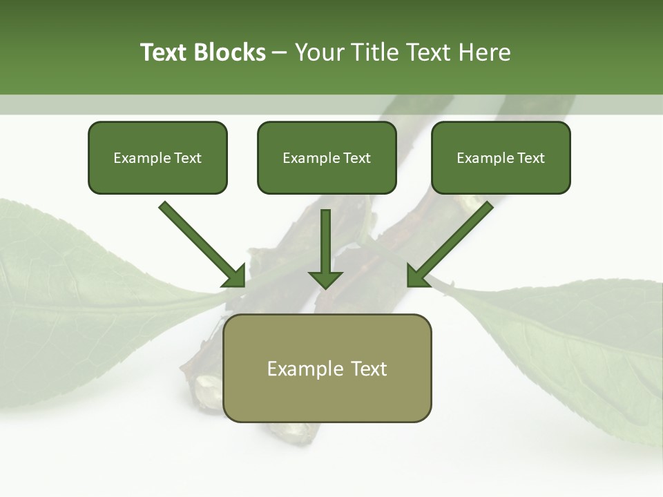 Cultural Health Scent PowerPoint Template