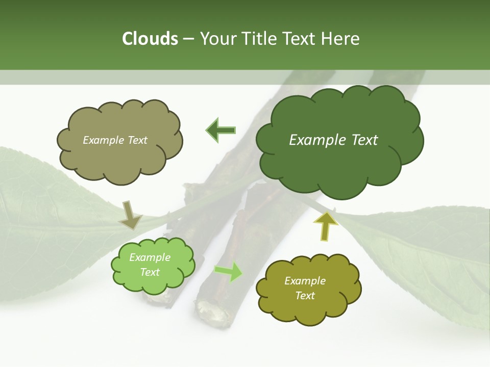 Cultural Health Scent PowerPoint Template