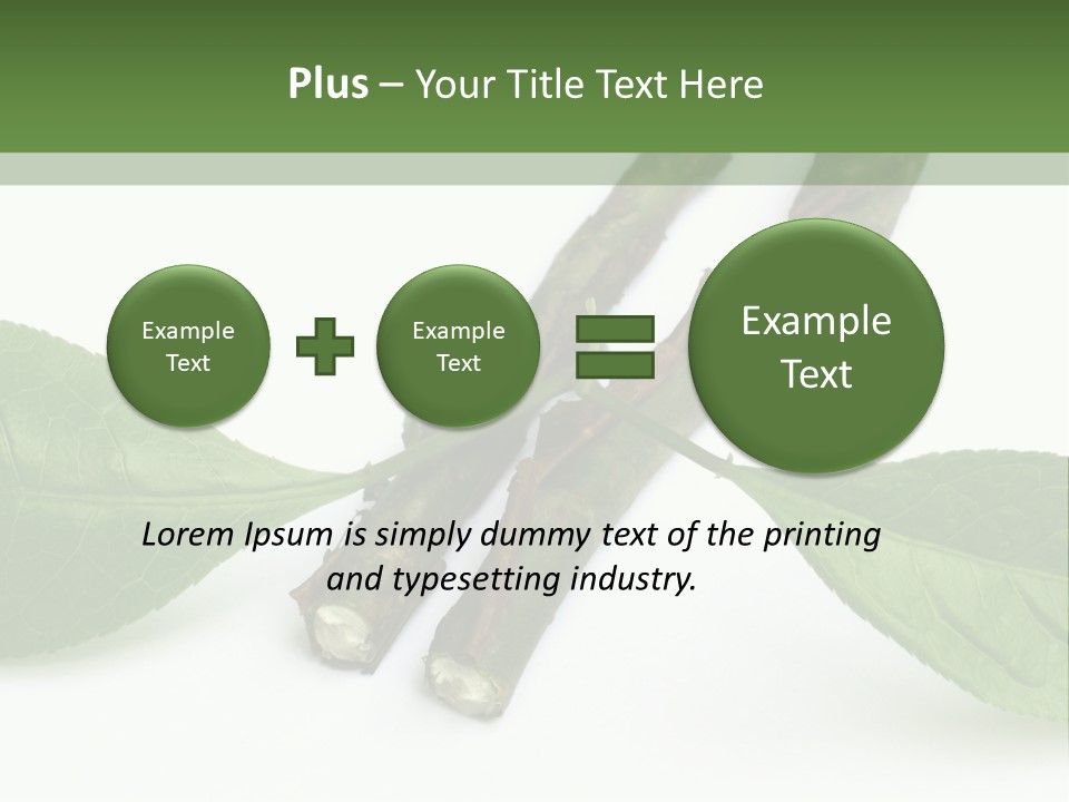 Cultural Health Scent PowerPoint Template