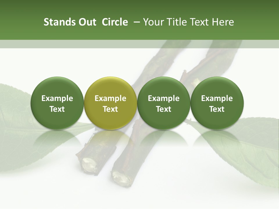 Cultural Health Scent PowerPoint Template