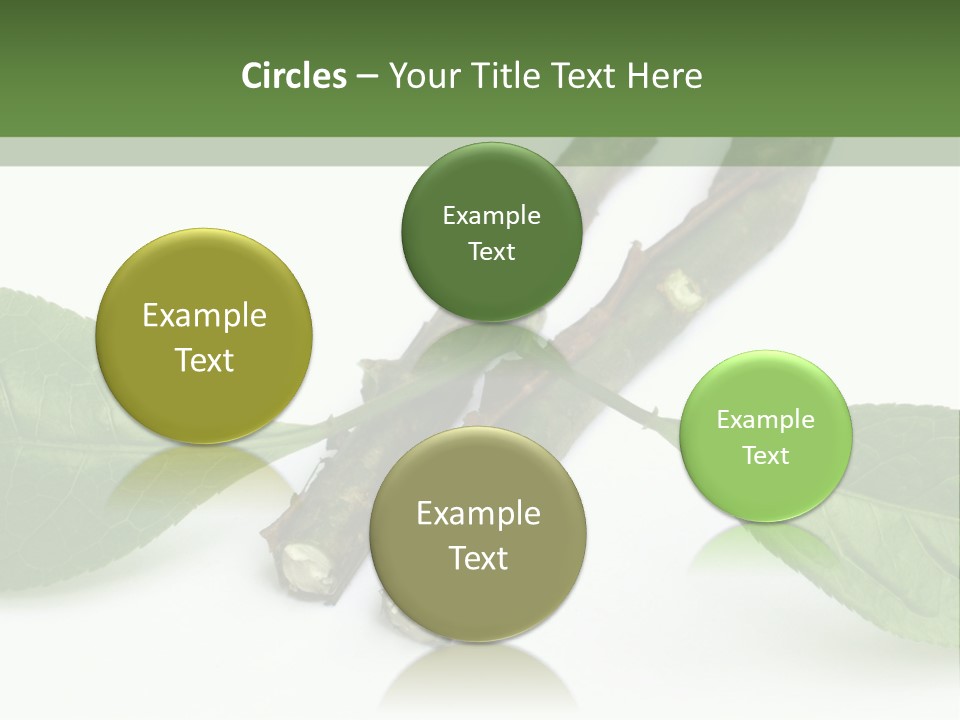 Cultural Health Scent PowerPoint Template