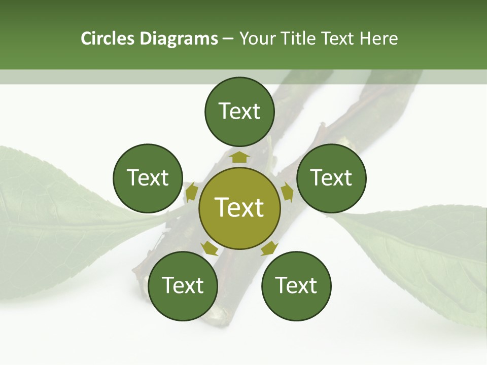 Cultural Health Scent PowerPoint Template