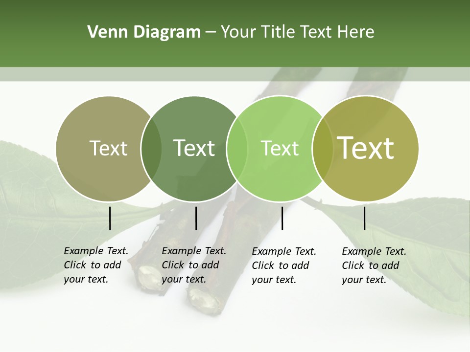 Cultural Health Scent PowerPoint Template