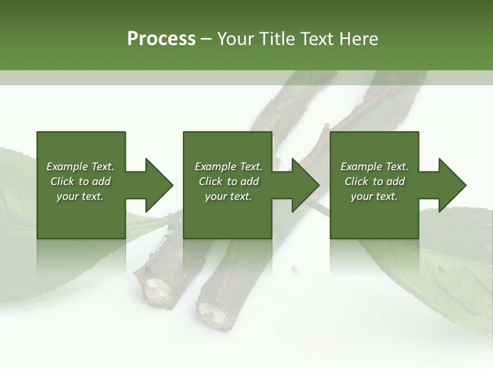 Cultural Health Scent PowerPoint Template