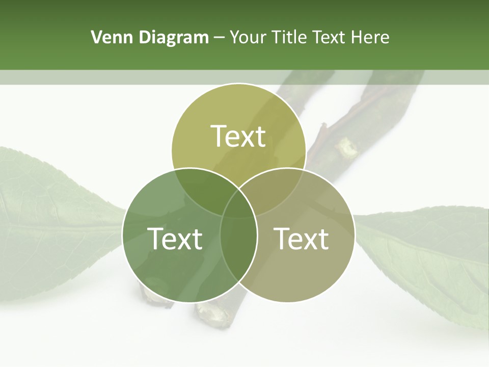 Cultural Health Scent PowerPoint Template