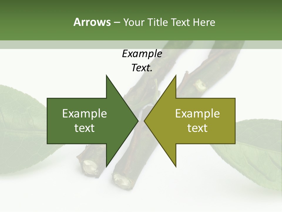 Cultural Health Scent PowerPoint Template
