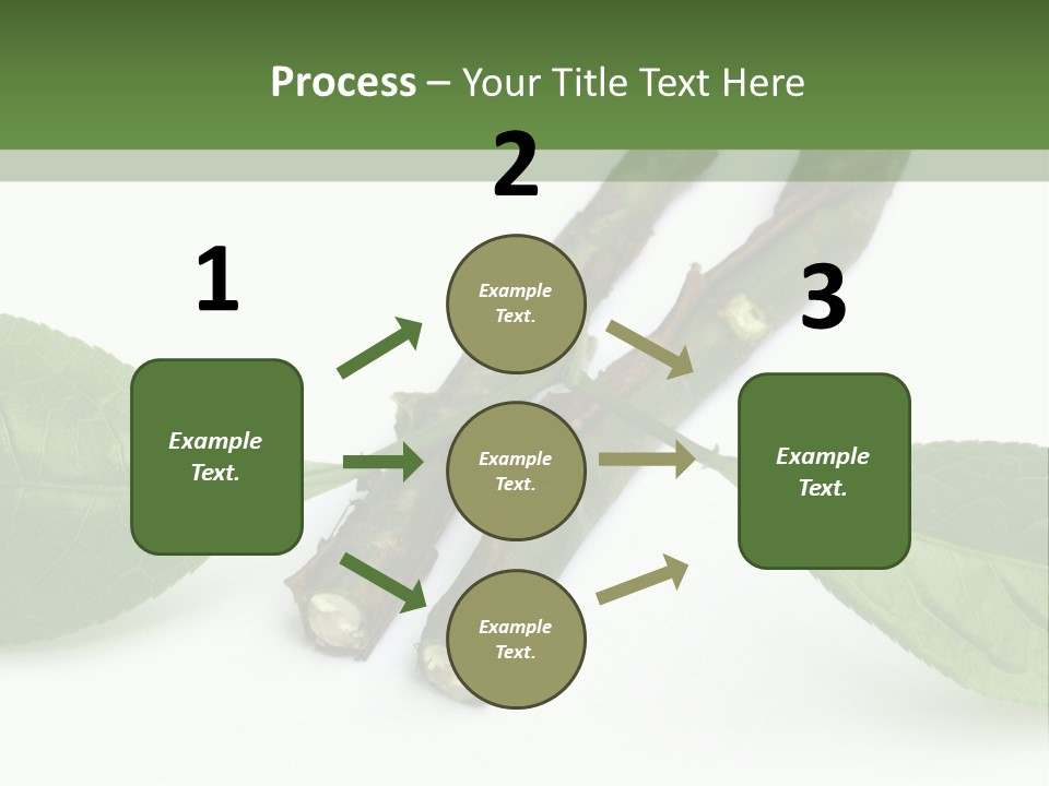 Cultural Health Scent PowerPoint Template