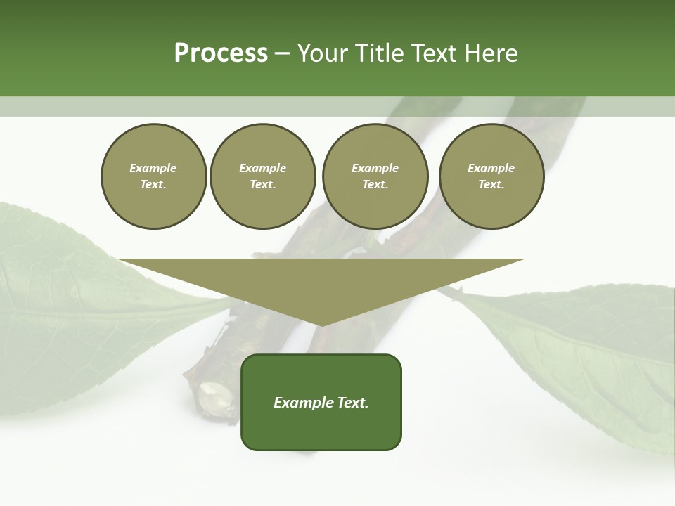 Cultural Health Scent PowerPoint Template