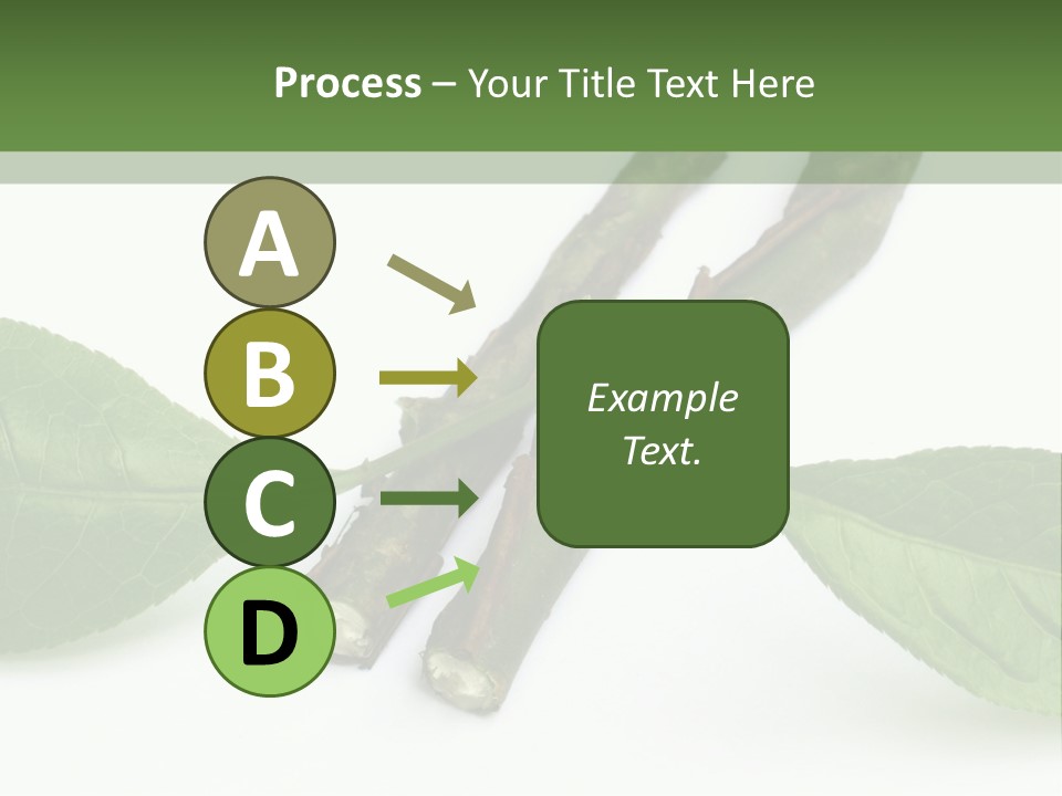 Cultural Health Scent PowerPoint Template