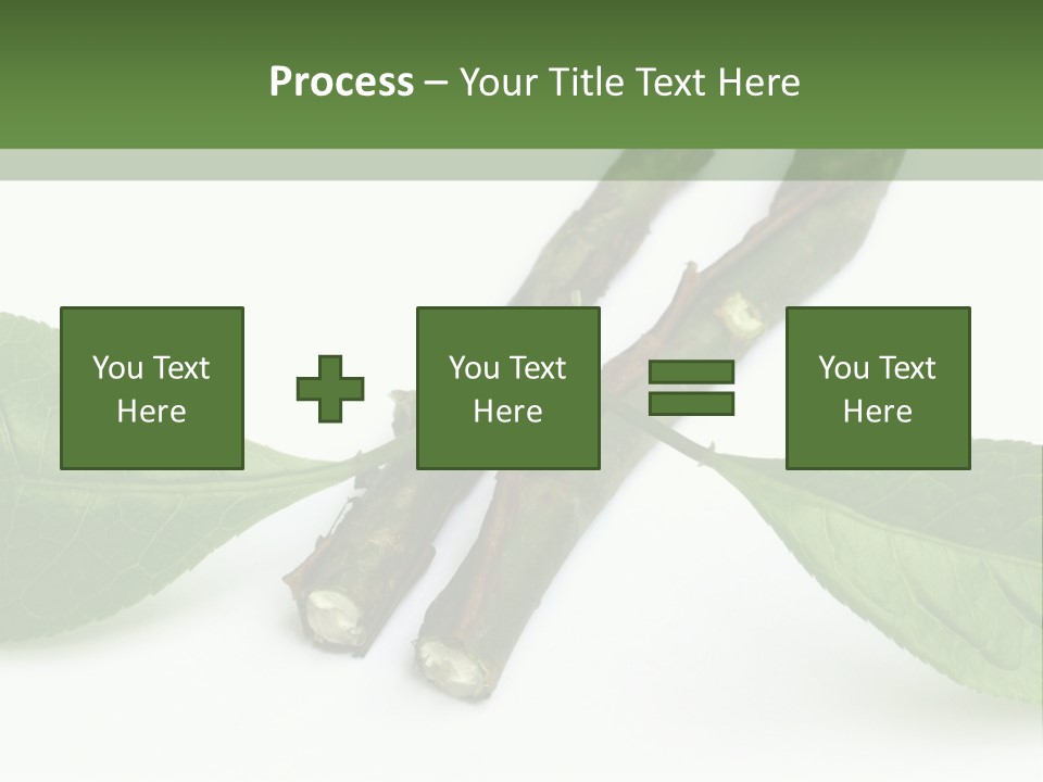 Cultural Health Scent PowerPoint Template