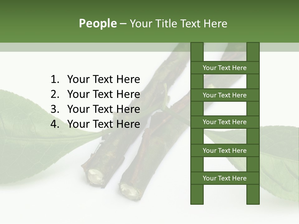 Cultural Health Scent PowerPoint Template