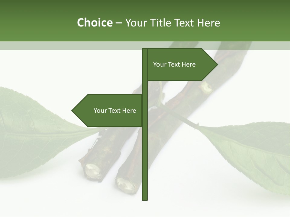 Cultural Health Scent PowerPoint Template