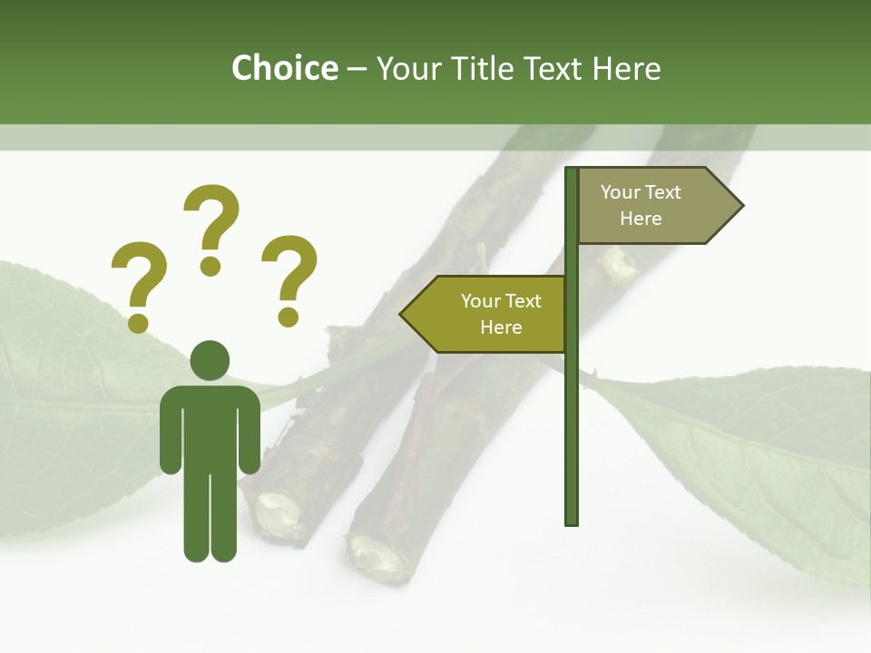 Cultural Health Scent PowerPoint Template