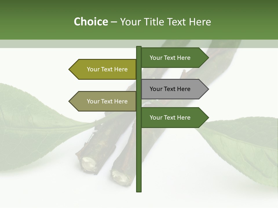 Cultural Health Scent PowerPoint Template