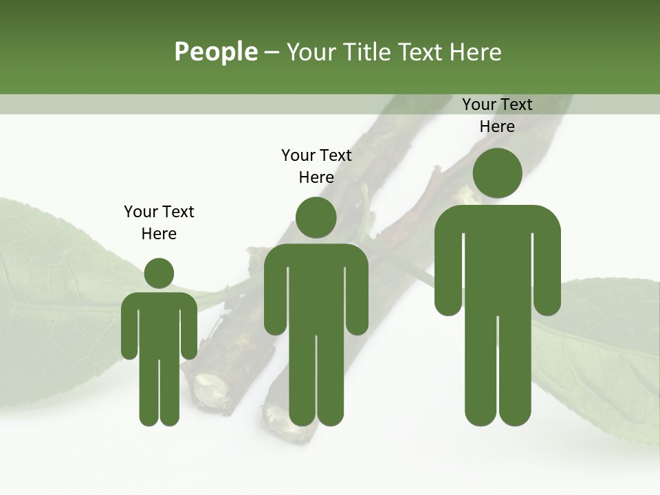 Cultural Health Scent PowerPoint Template