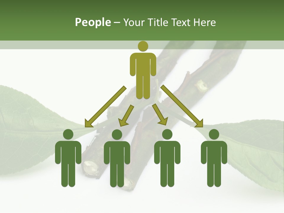 Cultural Health Scent PowerPoint Template