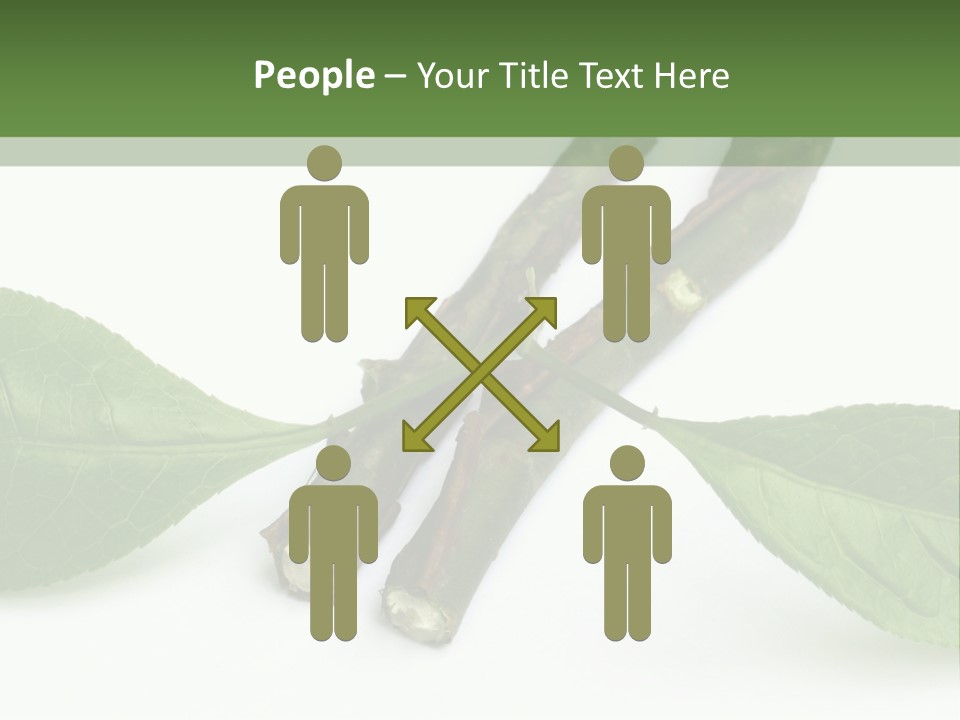 Cultural Health Scent PowerPoint Template